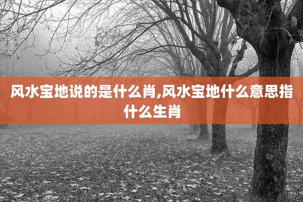 风水宝地说的是什么肖,风水宝地什么意思指什么生肖