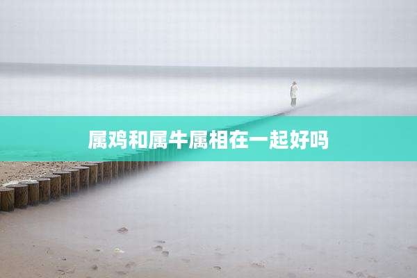 属鸡和属牛属相在一起好吗
