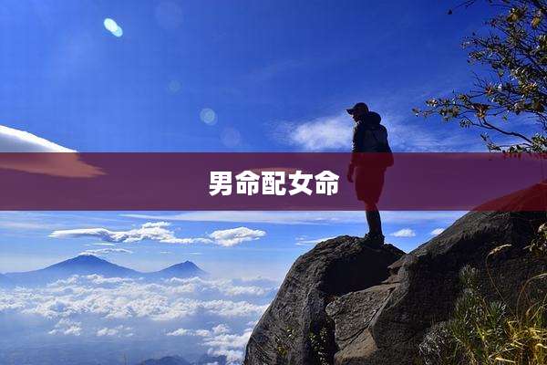 男命配女命