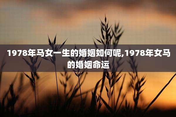 1978年马女一生的婚姻如何呢,1978年女马的婚姻命运