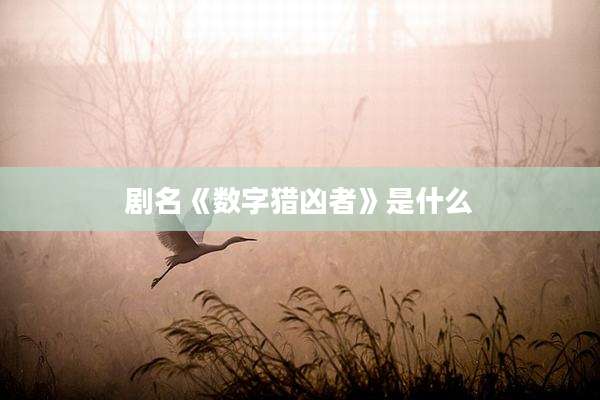剧名《数字猎凶者》是什么