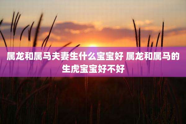 属龙和属马夫妻生什么宝宝好 属龙和属马的生虎宝宝好不好