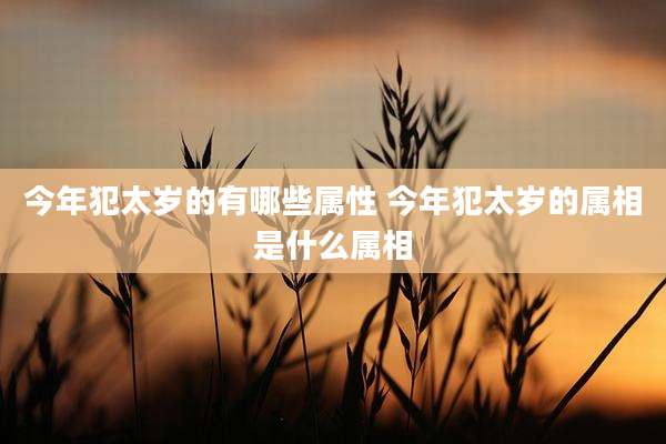 今年犯太岁的有哪些属性 今年犯太岁的属相是什么属相