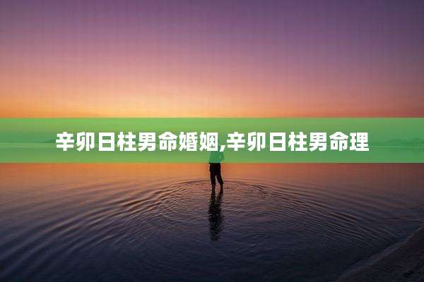 辛卯日柱男命婚姻,辛卯日柱男命理