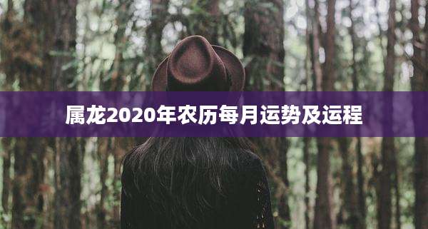 属龙2020年农历每月运势及运程