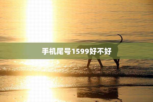 手机尾号1599好不好