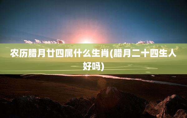 农历腊月廿四属什么生肖(腊月二十四生人好吗)