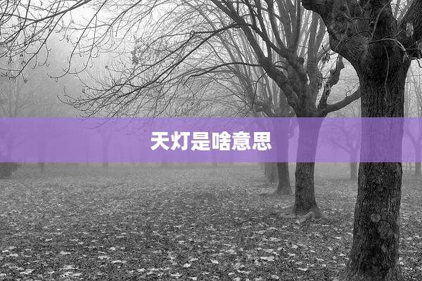 天灯是啥意思
