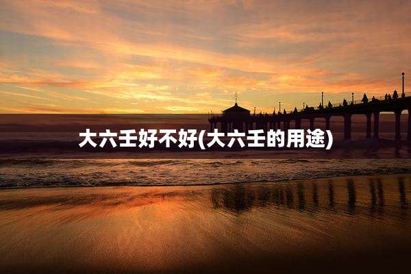 大六壬好不好(大六壬的用途)