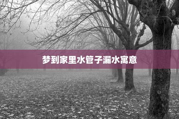 梦到家里水管子漏水寓意
