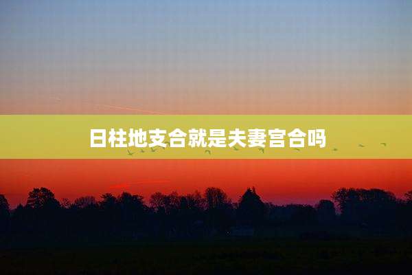 日柱地支合就是夫妻宫合吗