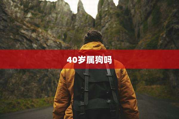 40岁属狗吗
