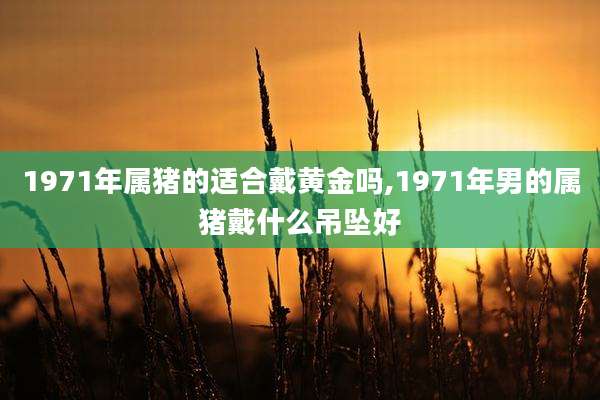 1971年属猪的适合戴黄金吗,1971年男的属猪戴什么吊坠好