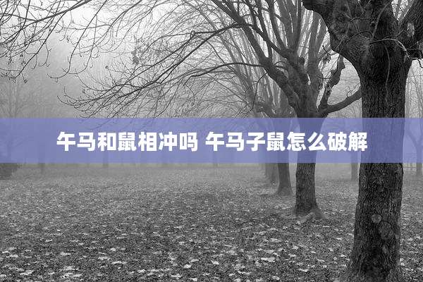 午马和鼠相冲吗 午马子鼠怎么破解