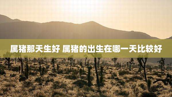 属猪那天生好 属猪的出生在哪一天比较好