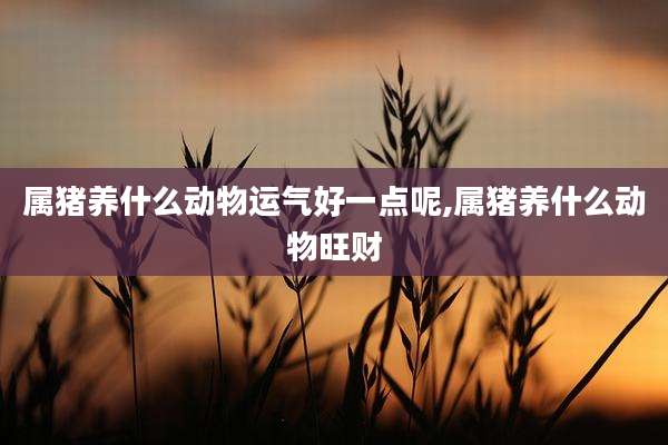 属猪养什么动物运气好一点呢,属猪养什么动物旺财