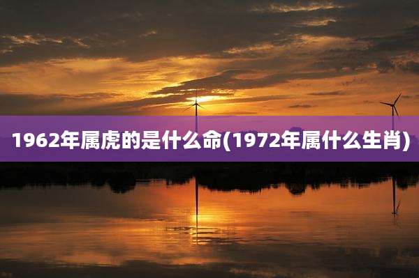 1962年属虎的是什么命(1972年属什么生肖)