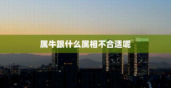 属牛跟什么属相不合适呢