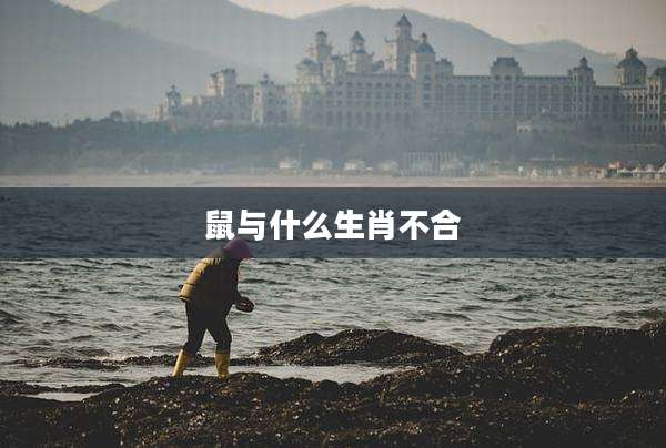 鼠与什么生肖不合