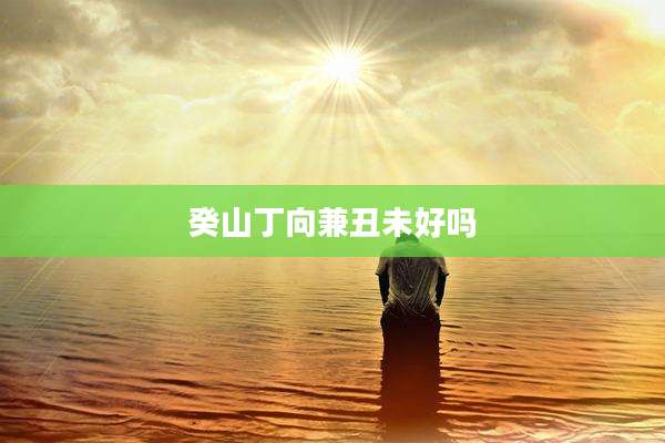 癸山丁向兼丑未好吗
