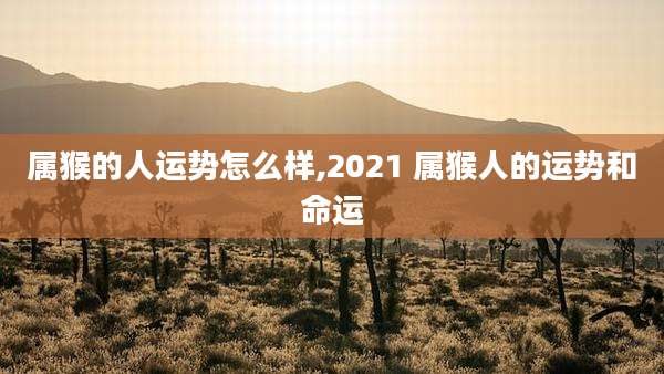 属猴的人运势怎么样,2021 属猴人的运势和命运