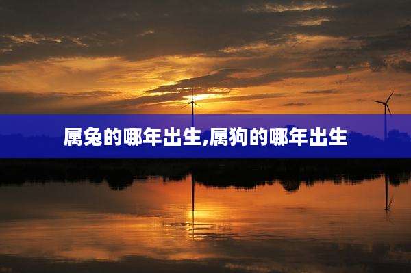 属兔的哪年出生,属狗的哪年出生