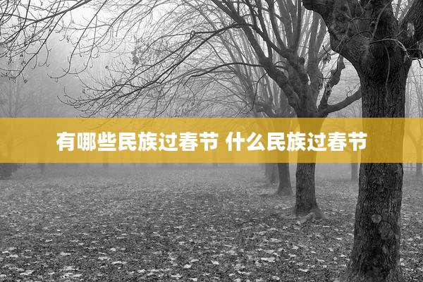 有哪些民族过春节 什么民族过春节