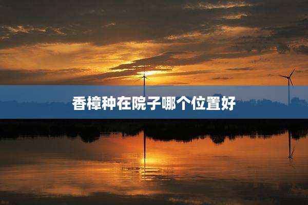 香樟种在院子哪个位置好