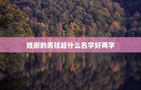 姓谢的男孩起什么名字好两字