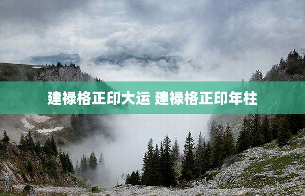 建禄格正印大运 建禄格正印年柱
