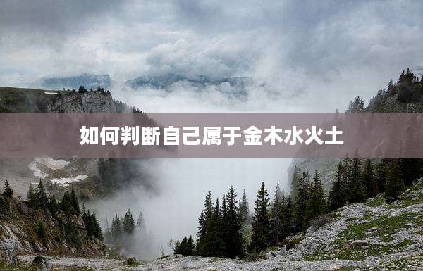 如何判断自己属于金木水火土