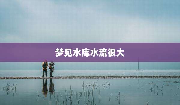 梦见水库水流很大