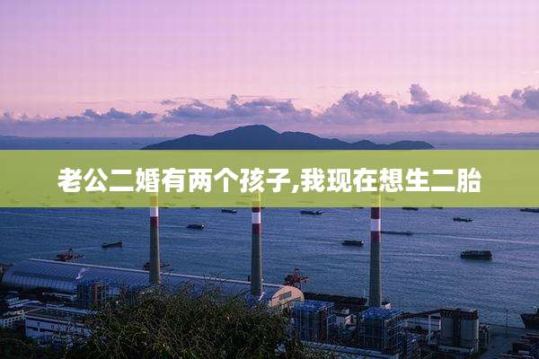 老公二婚有两个孩子,我现在想生二胎