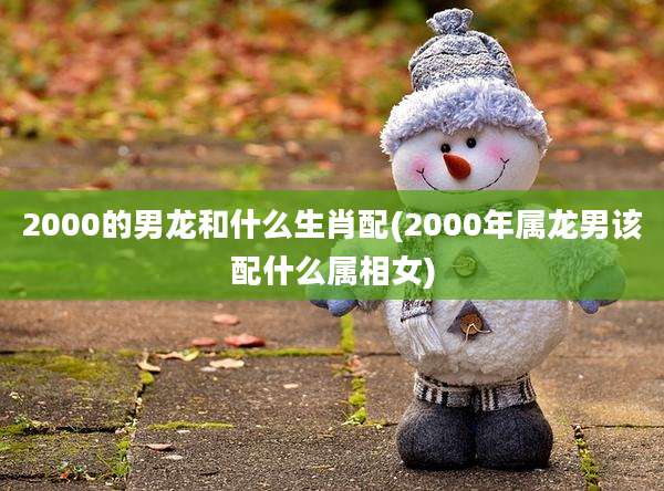 2000的男龙和什么生肖配(2000年属龙男该配什么属相女)