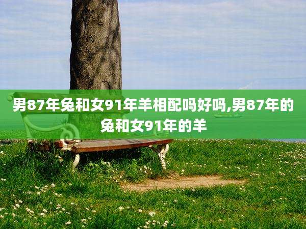 男87年兔和女91年羊相配吗好吗,男87年的兔和女91年的羊