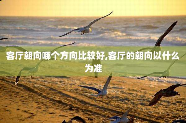 客厅朝向哪个方向比较好,客厅的朝向以什么为准
