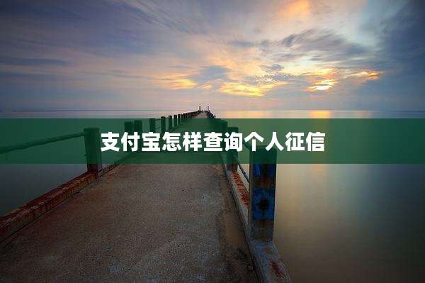 支付宝怎样查询个人征信