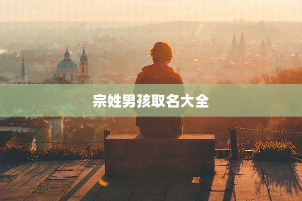 宗姓男孩取名大全