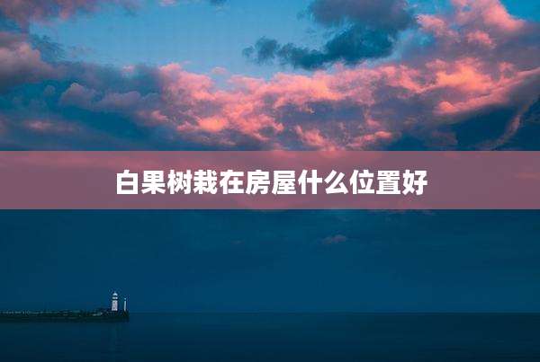 白果树栽在房屋什么位置好