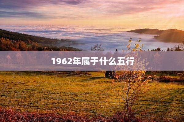 1962年属于什么五行