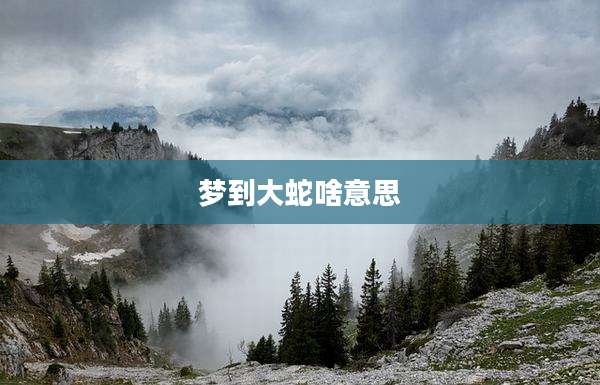 梦到大蛇啥意思