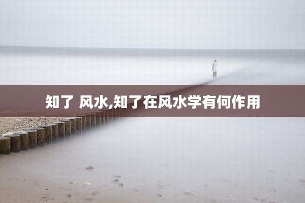 知了 风水,知了在风水学有何作用