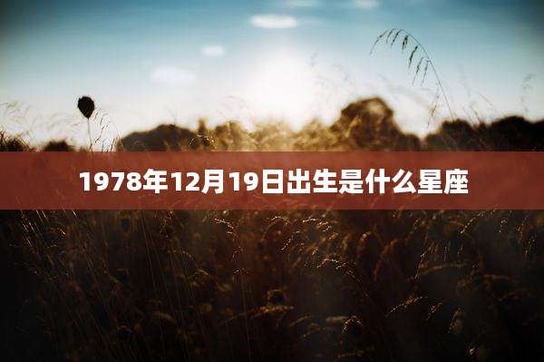 1978年12月19日出生是什么星座