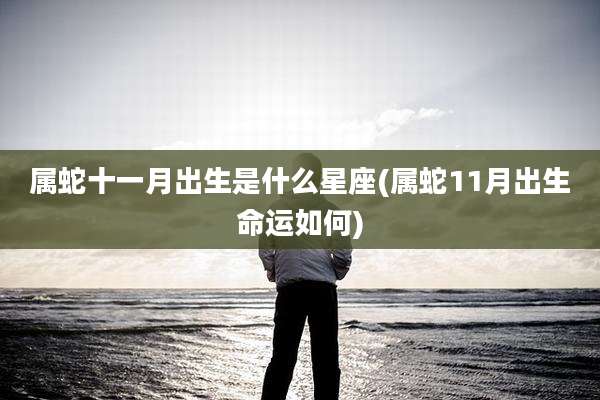 属蛇十一月出生是什么星座(属蛇11月出生命运如何)