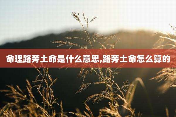命理路旁土命是什么意思,路旁土命怎么算的