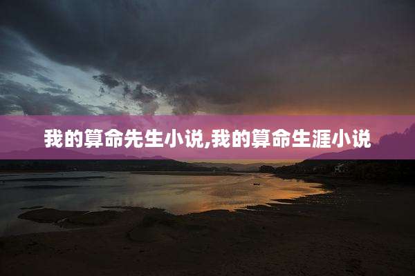 我的算命先生小说,我的算命生涯小说