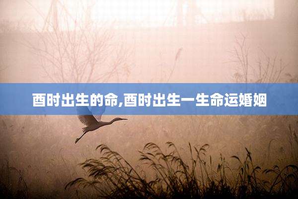 酉时出生的命,酉时出生一生命运婚姻