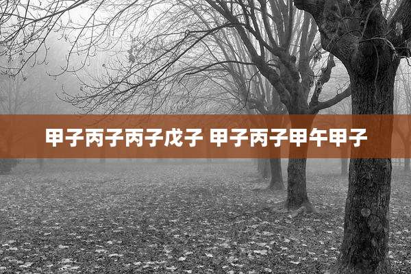 甲子丙子丙子戊子 甲子丙子甲午甲子