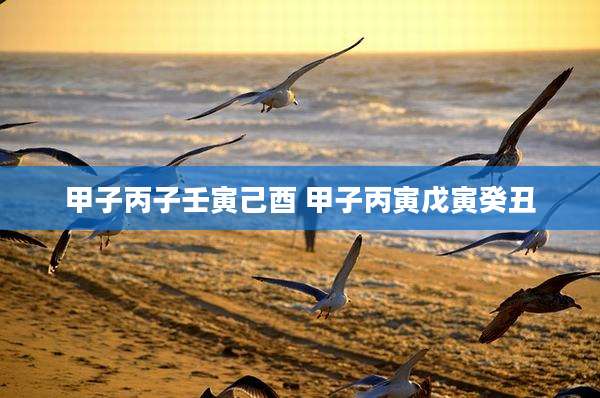 甲子丙子壬寅己酉 甲子丙寅戊寅癸丑