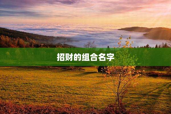 招财的组合名字
